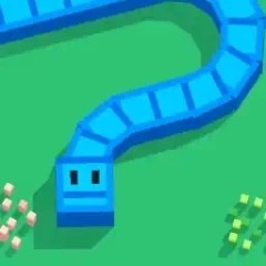 Znake